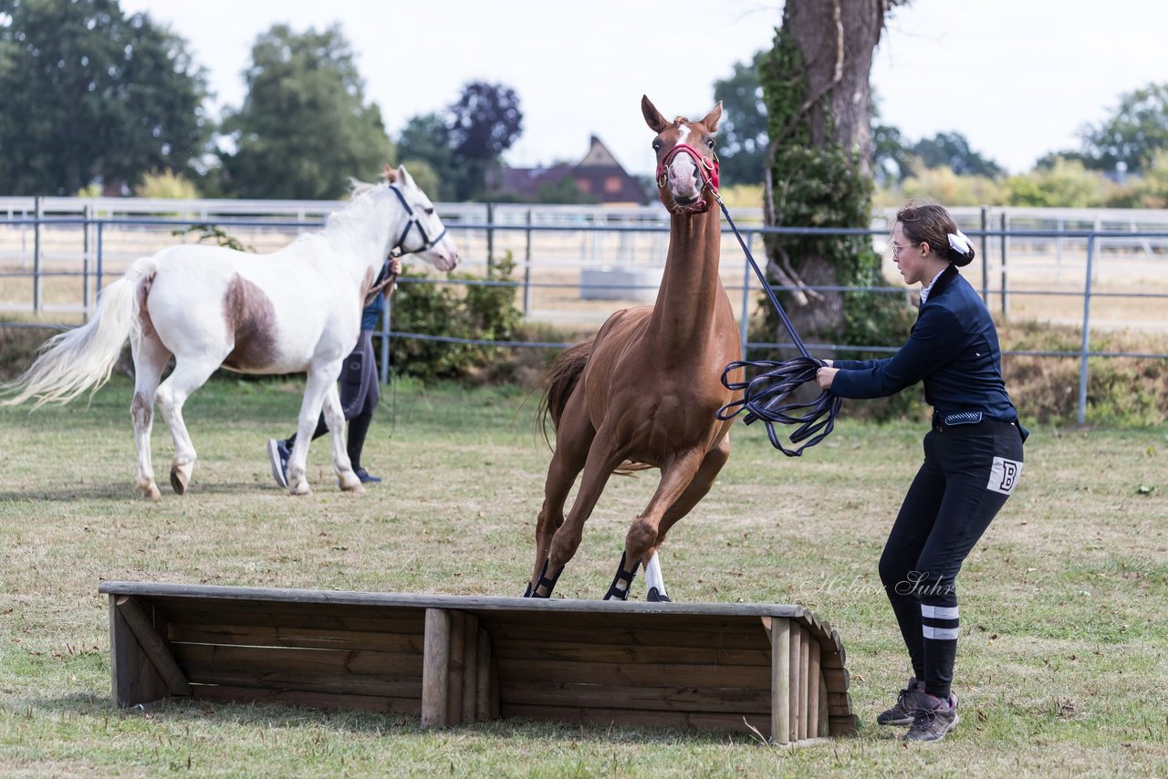 Bild 28 - Pony Akademie Turnier